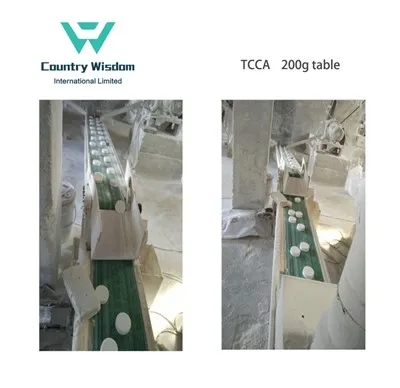 Najboljša kakovost TCCA 90% klora 200 g tablet Proizvajalec